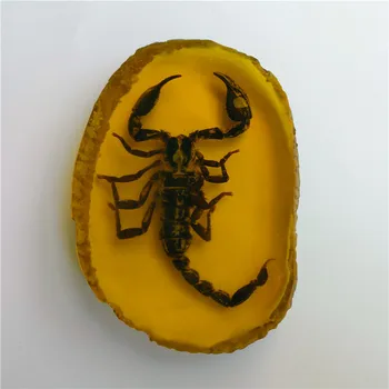 Veľké Scorpion King Umelé Jantárová Jantárová Cikada Amber Vzor Dekorácie pre Domov Zber Hobby Remeslá images